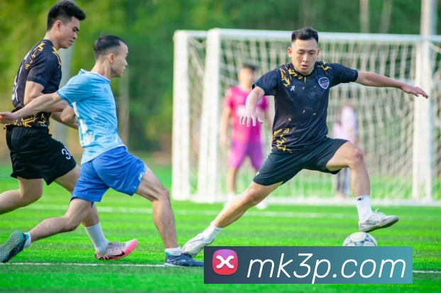 开云平台生态图